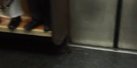 Video: One rat on a subway train sparks mass panic amongst New York commuters
