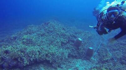 Video: Scuba diver attacks another diver 15m underwater