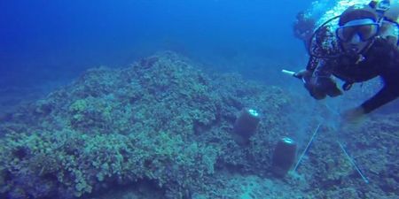 Video: Scuba diver attacks another diver 15m underwater
