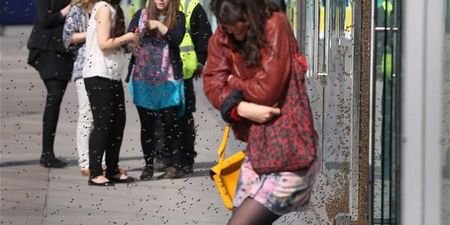 Video: Wait, how did thousands of bees suddenly appear on a busy London street?