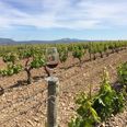 Rioja roll; JOE visits Campo Viejo’s winery in Spain