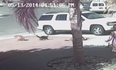 Video: Watch as a cat saves young boy from vicious dog attack