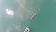 Check out this drone video of a shark in Cork Harbour