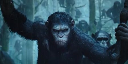 Video: Feast your eyes on the latest brilliant trailer for Dawn of the Planet of the Apes