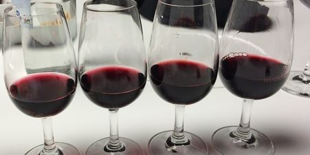 Campo Viejo Red Wine Guide