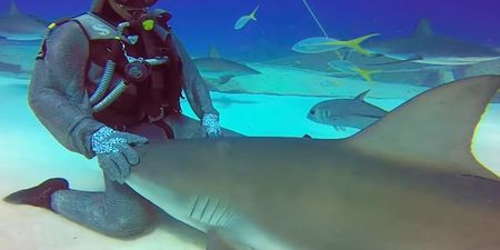 Video: Scuba diver amazingly calls shark over to her like a puppy dog… and survives