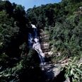 Incredible Brazilian Landmarks, No 4: Tijuca Forest