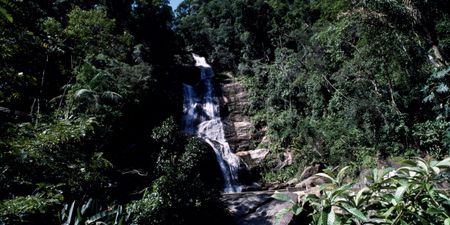 Incredible Brazilian Landmarks, No 4: Tijuca Forest