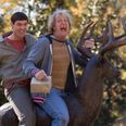 Video: Check out the first official trailer from ‘Dumb and Dumber To’