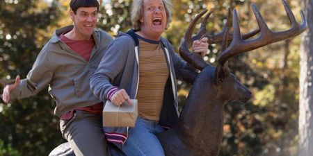 Video: Check out the first official trailer from ‘Dumb and Dumber To’