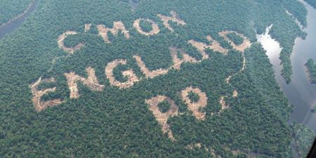 Pics: Paddy Power tricked the World into thinking they tore down part of the Amazon rain forest in Brazil