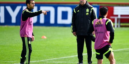 Video: Cesc Fabregas and Vicente del Bosque argue at Spain training ahead of final game