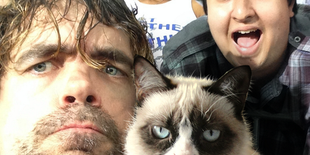 Update: Peter Dinklage didn’t meet Grumpy Cat after all, internet returns to normal