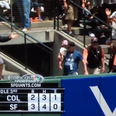 Video: Baseball fan catches home run ball while holding baby daughter