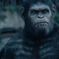 Video: The final trailer for Dawn of the Planet of the Apes is here and it looks class…