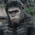 Competition: Win tickets to a special preview screening of Dawn Of The Planet Of The Apes