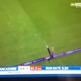 Vine: Two players combine for one of the most outrageous cricket catches you’ll ever see