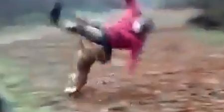 Video: Incredibly athletic dog pulls off the most thunderous tackle you’ll see this week