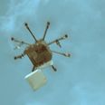 Video: A Russian pizza chain are using drones to deliver their pizzas now