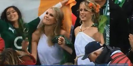 Video: Irish fans inevitably get a mention in Rugby HQ’s Top five ‘Fans gone wild’ moments