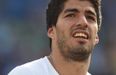UK betting firm terminate their relationship with Luis Suarez