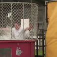 Video: Stephen Cluxton was the big loser in Dublin’s Dunk Tank Challenge