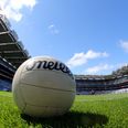 Pic: We’re trying to find out where this GAA fan’s allegiance lies, but no joy yet