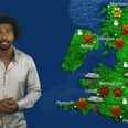 Video: So… former WBA heavyweight champion David Haye is presenting a weather forecast for dogs now