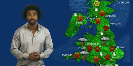 Video: So… former WBA heavyweight champion David Haye is presenting a weather forecast for dogs now