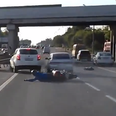 Video: Stray dog causes big crash in Russia