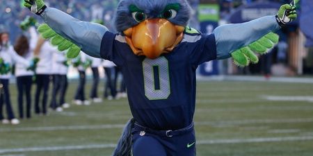 Video: Seattle Seahawks mascot proves too quick for this 49ers fan who ends up face down on the ground