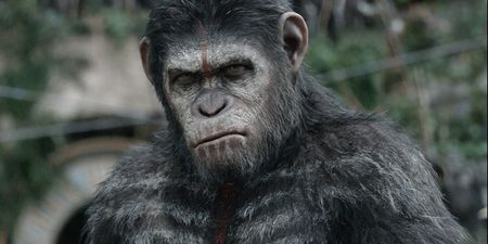 Pic: The song titles for the Dawn of the Planet of the Apes soundtrack are absolutely pun-tastic