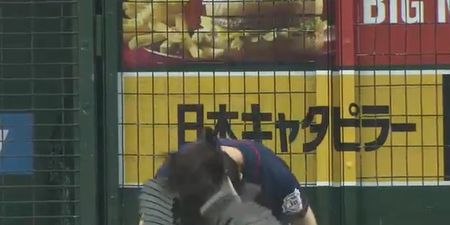 Video: Female Japanese martial artist breaks ten cement blocks with her head, then throws out first pitch at baseball game
