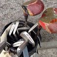 Pic: This set of ‘wild chape’ golf clubs in Newry deserve to be sold for the quality of this Gumtree ad alone