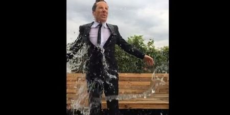 Videos: Star Trek alumnus Patrick Stewart and Benedict Cumberbatch have both significantly raised the bar for Ice Bucket Challenges