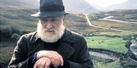 Video: The Bull McCabe was at the Gaelic Grounds yesterday, and we’re only realising it now