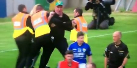 Burly pitch invader at the Gaelic Grounds becomes an instant celebrity (in Supermacs, anyway)
