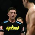Norman Parke added to UFC Dublin card in October