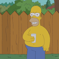 Video: Homer Simpson takes on the ALS Ice Bucket Challenge