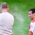 Vine: Santi Cazorla gets a face full of vanishing spray