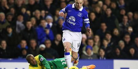 Kind-hearted Steven Naismith buys match tickets for unemployed Everton fans on Merseyside