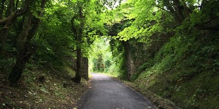 On yer bike; JOE cycles the Greenway and enjoys what Westport and Mayo has to offer