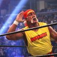 Video: Hulk Hogan apparently removed from the WWE due to alleged racist remark (NSFW)