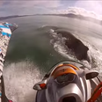 Video: Amazing footage shows the moment a jet ski collided with a massive humpback whale