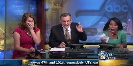 Video: A bat decided to wreck a live news broadcast this week