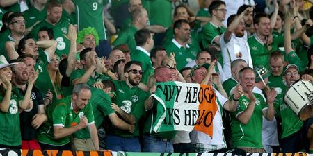 Pic: Irish fans enjoy a kickabout with locals in Gelsenkirchen before the big game