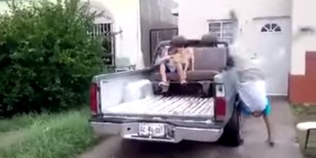Video: This is how you fall off a truck and land arse first in a chair like a boss