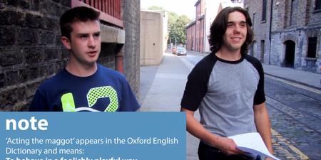 Video: Watch as tourists woefully attempt to translate common Irish slang