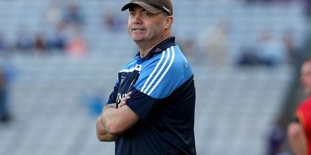 Anthony Daly has stepped down as manager of the Dublin hurlers