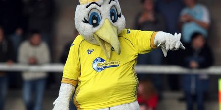 Is Torquay United’s mascot the worst in football?